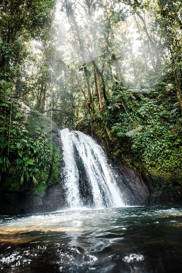 La Guadeloupe et ses trésors cachés : plages paradisiaques, parc naturel et activités nautiques