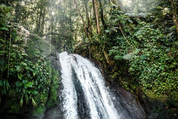 La Guadeloupe et ses trésors cachés : plages paradisiaques, parc naturel et activités nautiques