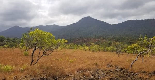 Les incroyables sites du Guyana: Georgetown, Kaieteur et Roraima